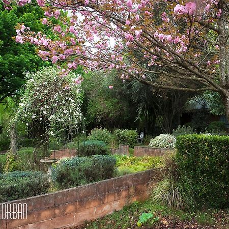 Birches Cottage & The Willows Garden Room Underberg Ngoại thất bức ảnh