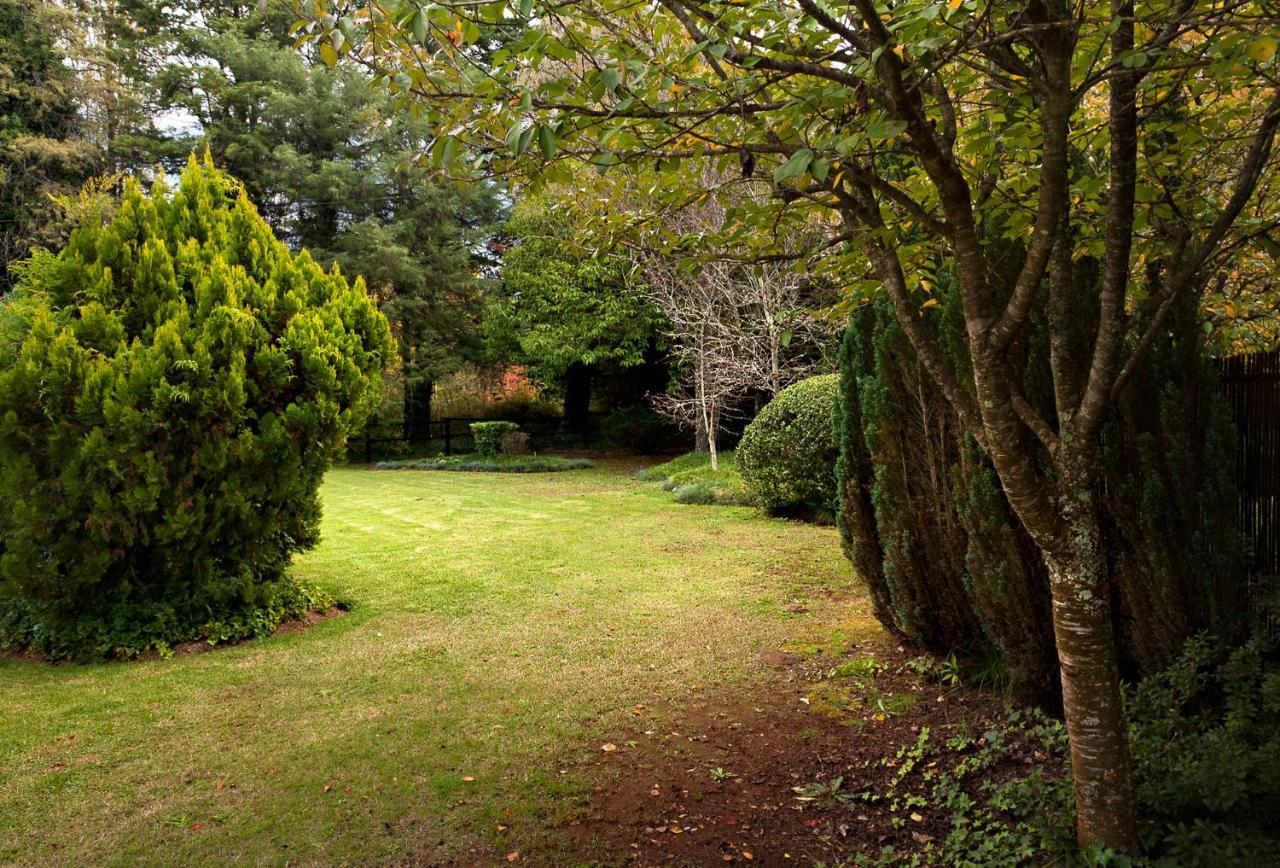 Birches Cottage & The Willows Garden Room Underberg Ngoại thất bức ảnh
