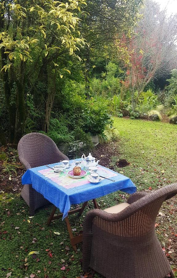 Birches Cottage & The Willows Garden Room Underberg Ngoại thất bức ảnh