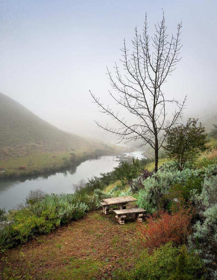 Birches Cottage & The Willows Garden Room Underberg Ngoại thất bức ảnh