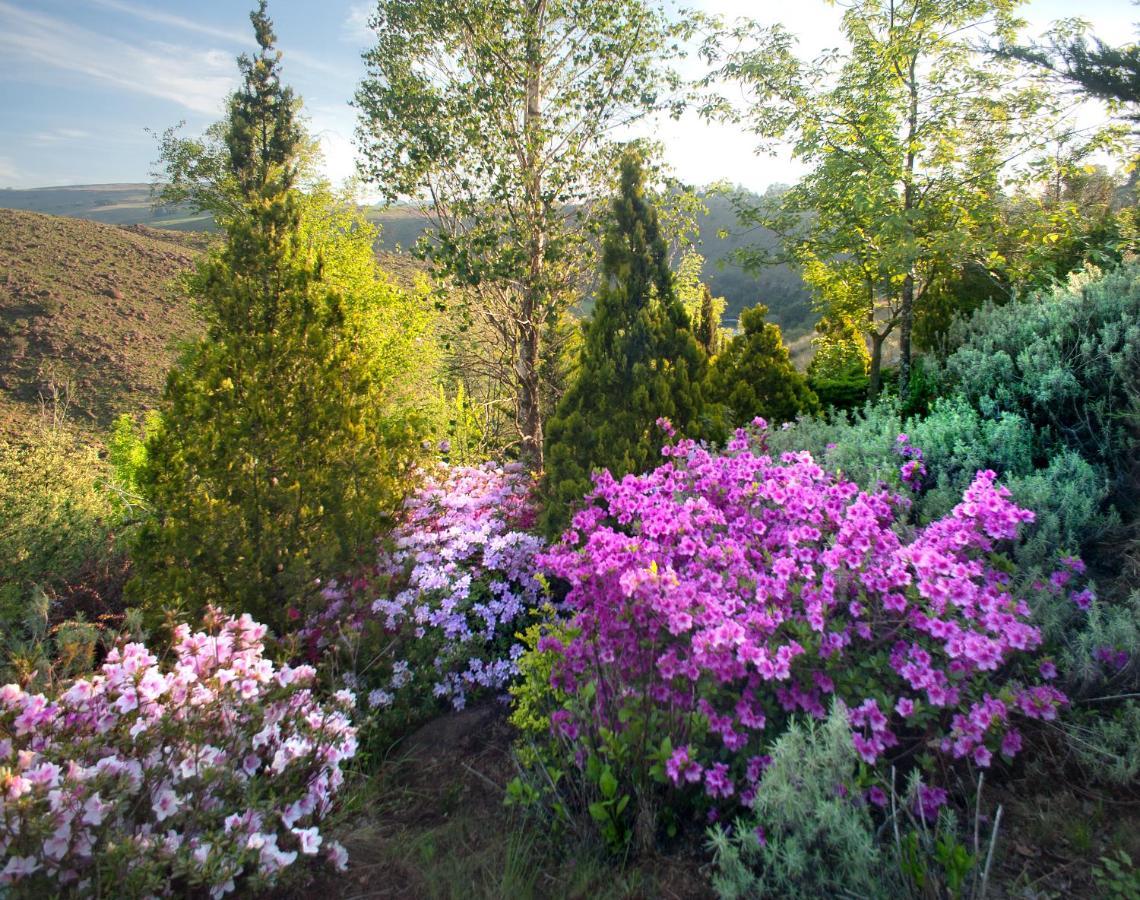 Birches Cottage & The Willows Garden Room Underberg Ngoại thất bức ảnh