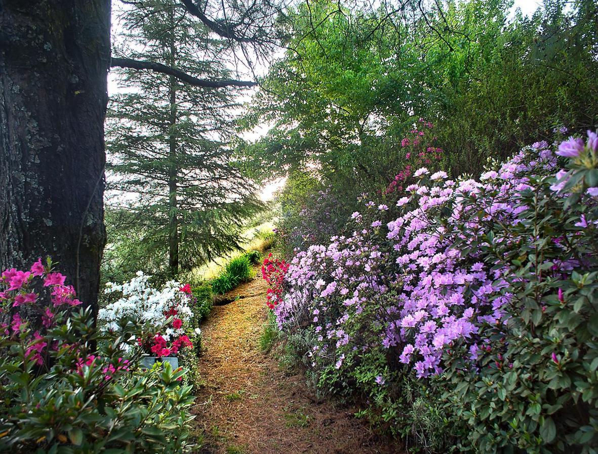 Birches Cottage & The Willows Garden Room Underberg Ngoại thất bức ảnh