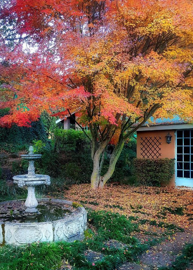 Birches Cottage & The Willows Garden Room Underberg Ngoại thất bức ảnh