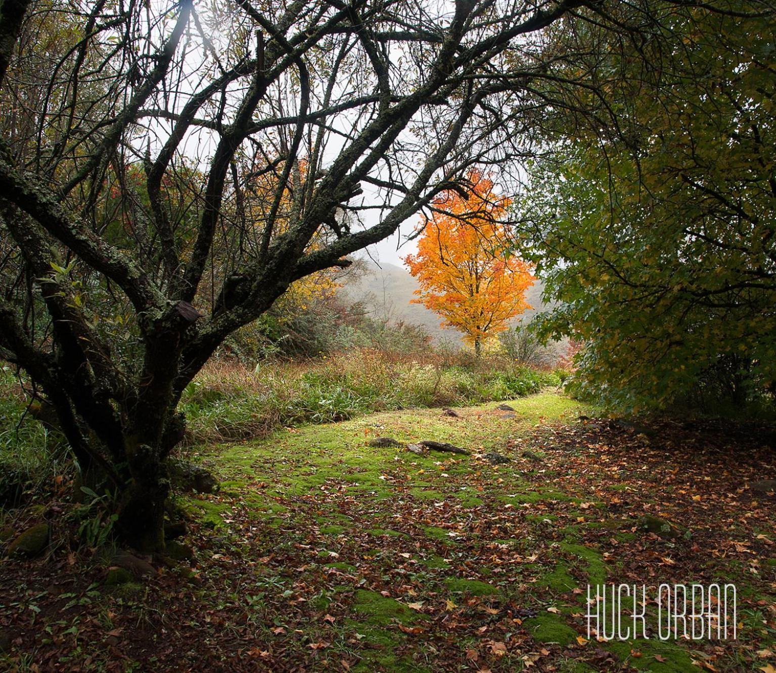 Birches Cottage & The Willows Garden Room Underberg Ngoại thất bức ảnh