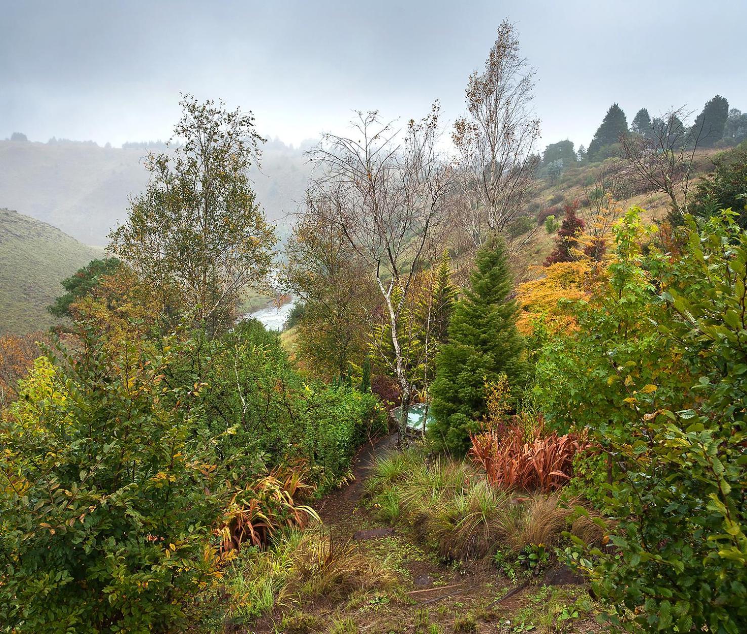 Birches Cottage & The Willows Garden Room Underberg Ngoại thất bức ảnh