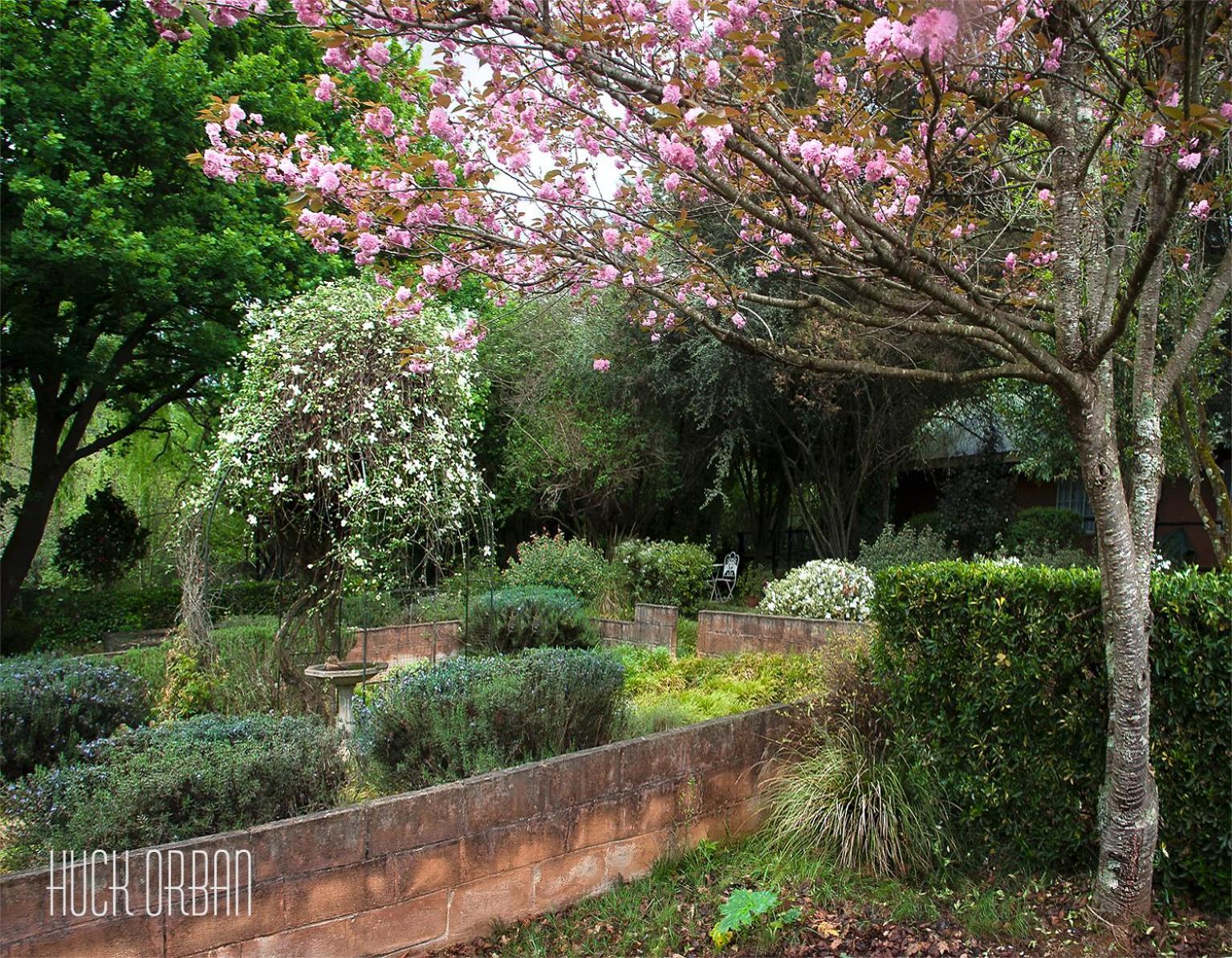 Birches Cottage & The Willows Garden Room Underberg Ngoại thất bức ảnh