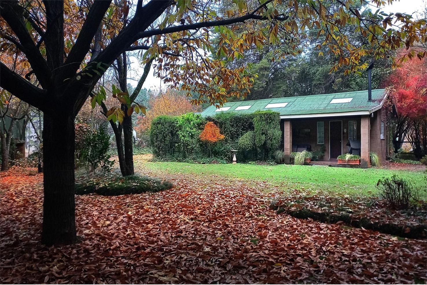 Birches Cottage & The Willows Garden Room Underberg Ngoại thất bức ảnh