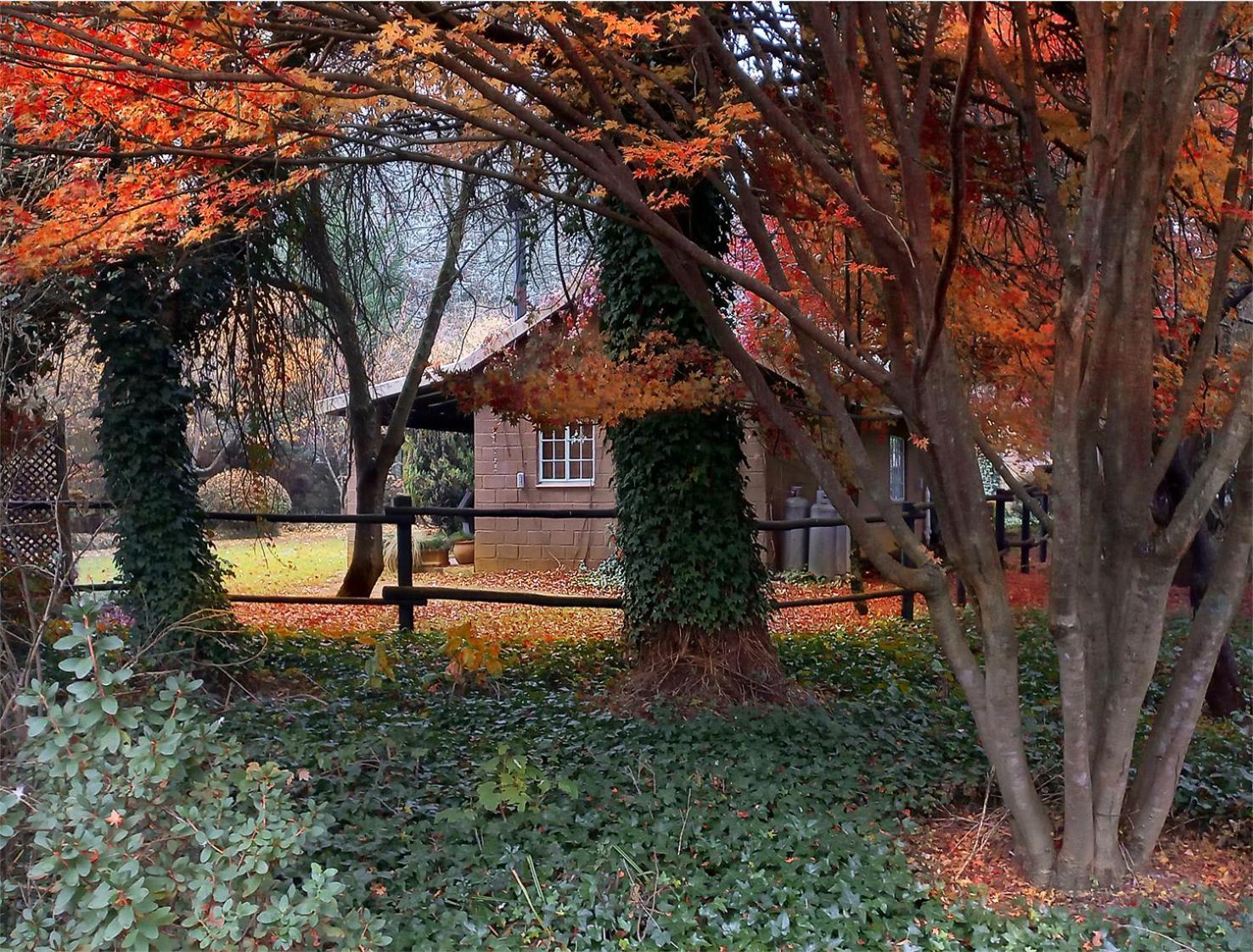 Birches Cottage & The Willows Garden Room Underberg Ngoại thất bức ảnh