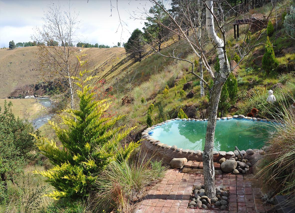 Birches Cottage & The Willows Garden Room Underberg Ngoại thất bức ảnh