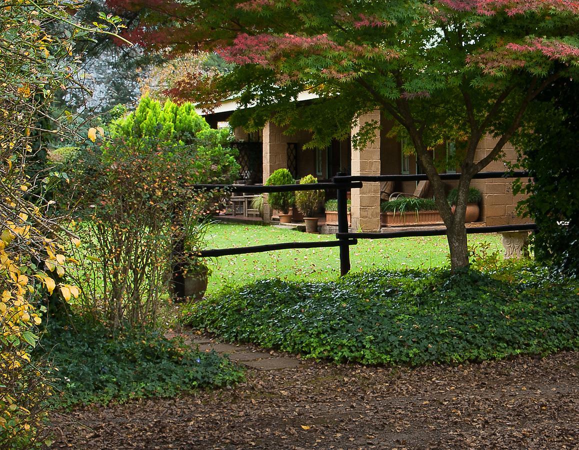 Birches Cottage & The Willows Garden Room Underberg Ngoại thất bức ảnh