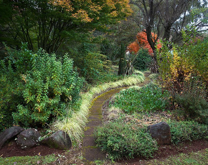 Birches Cottage & The Willows Garden Room Underberg Ngoại thất bức ảnh