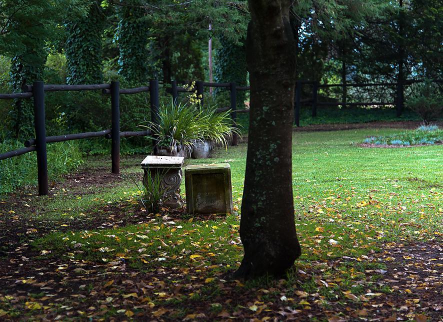 Birches Cottage & The Willows Garden Room Underberg Ngoại thất bức ảnh