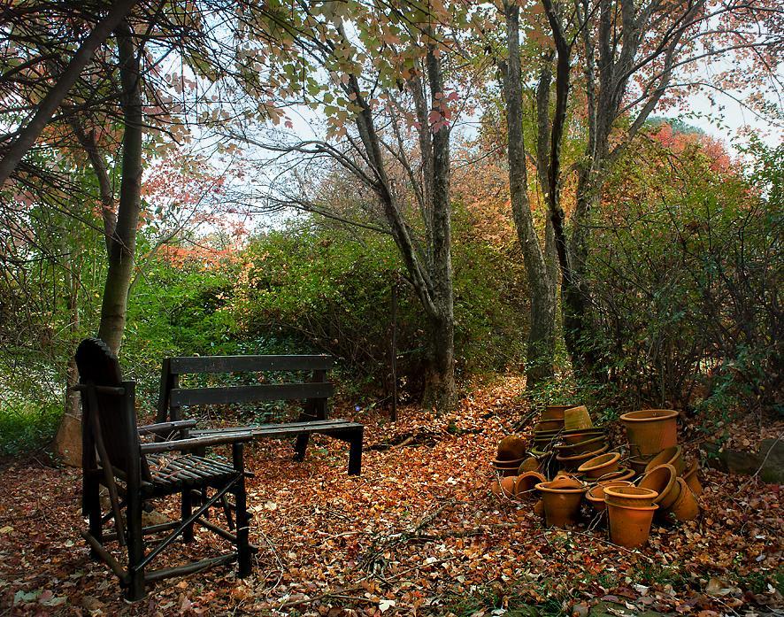 Birches Cottage & The Willows Garden Room Underberg Ngoại thất bức ảnh